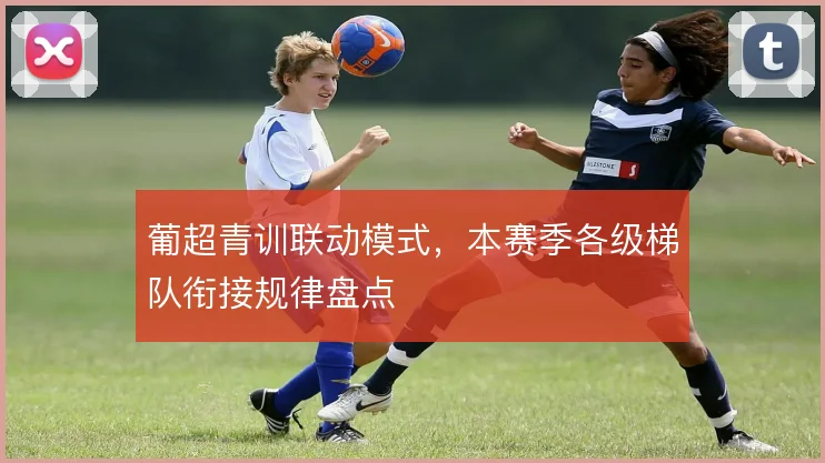葡超青训联动模式，本赛季各级梯队衔接规律盘点