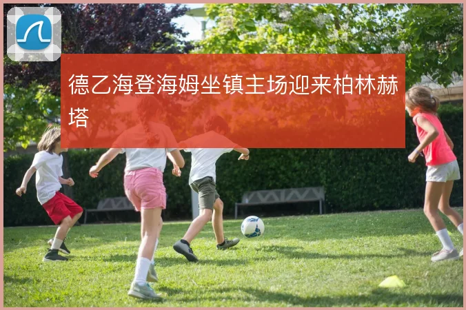 德乙海登海姆坐镇主场迎来柏林赫塔
