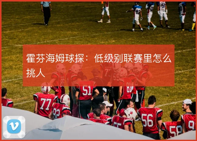 霍芬海姆球探：低级别联赛里怎么挑人