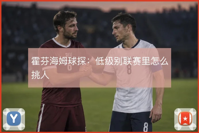 霍芬海姆球探:低级别联赛里怎么挑人